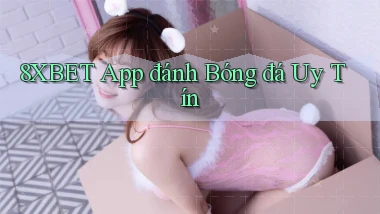 8xbet app đánh bóng đá uy tín
