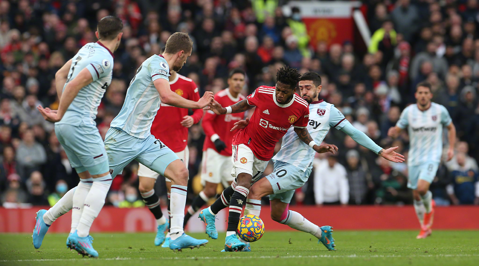 展示出了非 展示出了非